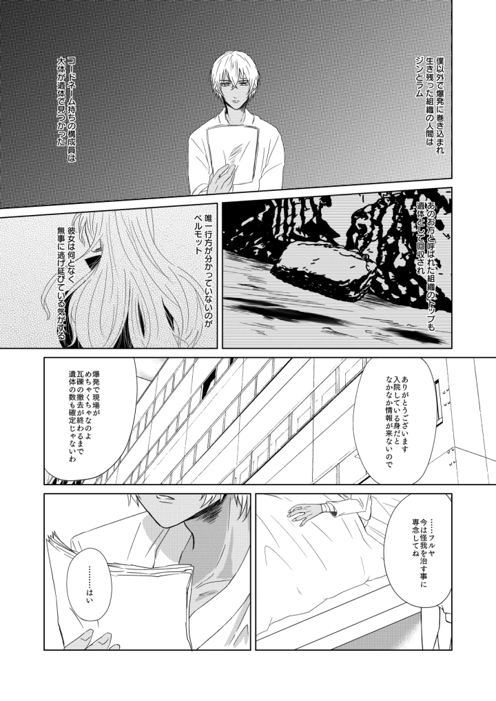 (kyoumiya ryou)[Re：繚乱 (京宮良) 赦されたい (名探偵コナン) [DL版]-18ページ目