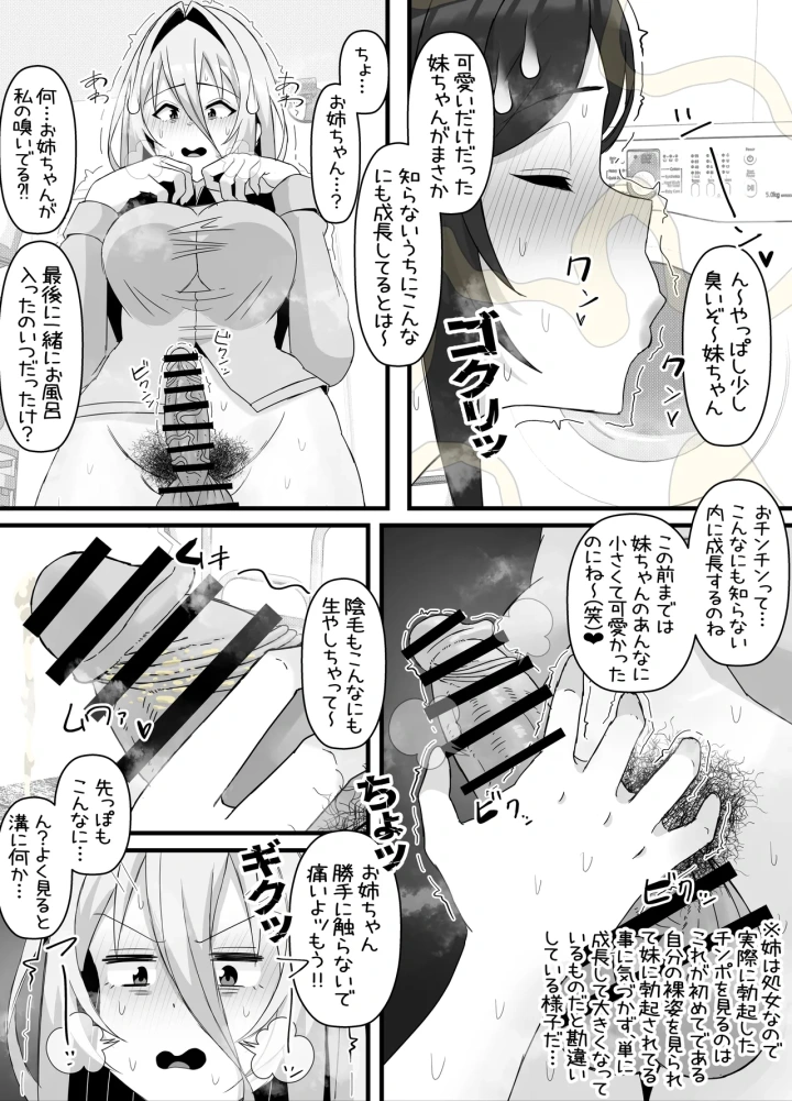 (エ浪漫画家 )引きこもりフタナリ妹が姉の臭いをオカズにオナニーする話-28ページ目